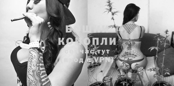 дурь Бердск