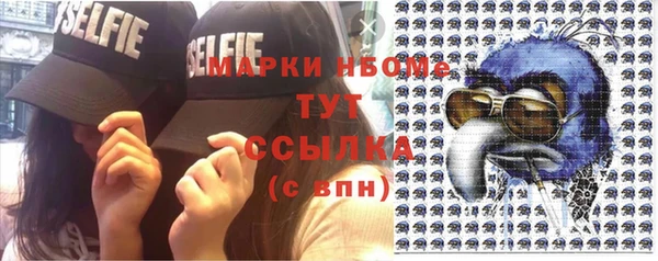 ГАЛЛЮЦИНОГЕННЫЕ ГРИБЫ Новозыбков