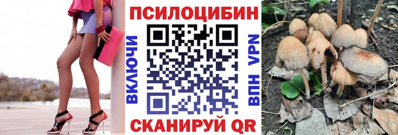 где можно купить наркотик  Камызяк  Галлюциногенные грибы мухоморы 